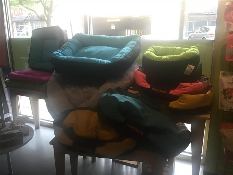 Splash and Dash Groomerie & Boutique Des Plaines, IL