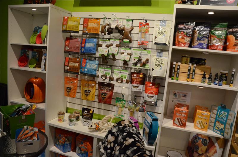 Splash and Dash Groomerie & Boutique Des Plaines, IL