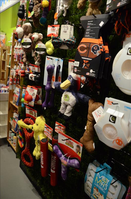 Splash and Dash Groomerie & Boutique Des Plaines, IL