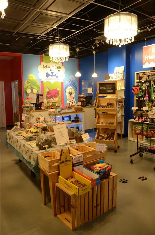 Splash and Dash Groomerie & Boutique Des Plaines, IL