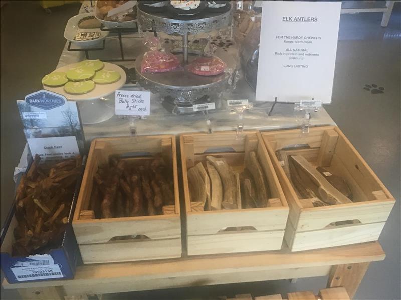 Splash and Dash Groomerie & Boutique Des Plaines, IL