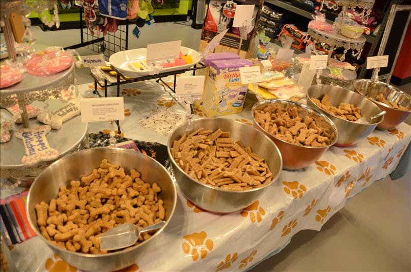 Splash and Dash Groomerie & Boutique Des Plaines, IL